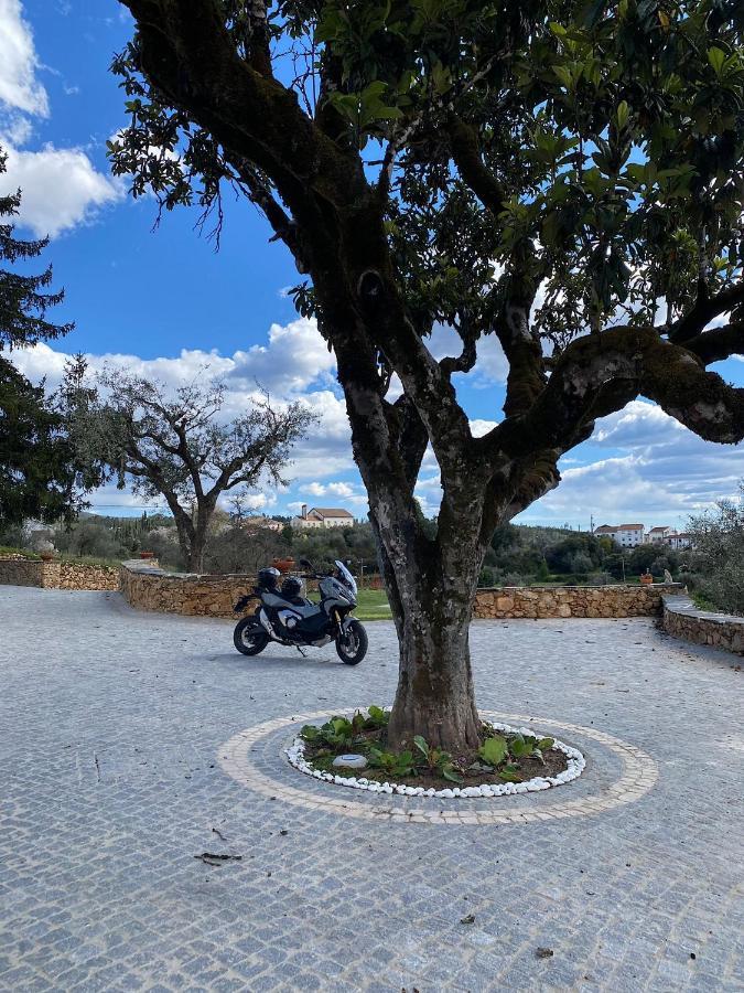 Вілла Quinta Da Rocha 1875 Педроґан-Пекено Екстер'єр фото